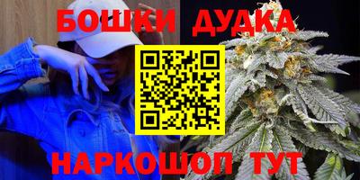 мдпв Гусев