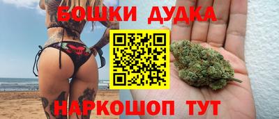 мдпв Гусев