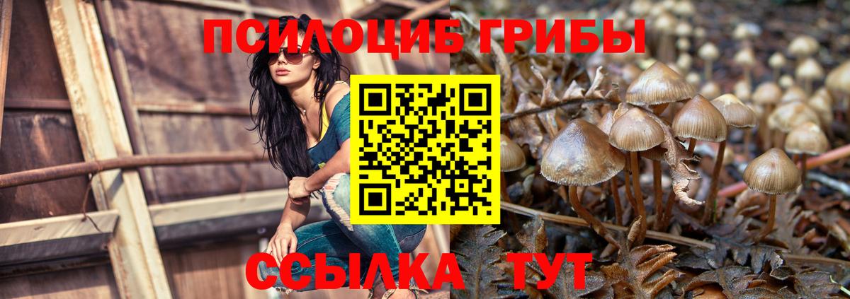 Галлюциногенные грибы Psilocybe  Вход с VPN  Псилоцибиновые грибы мицелий  Мурманск 