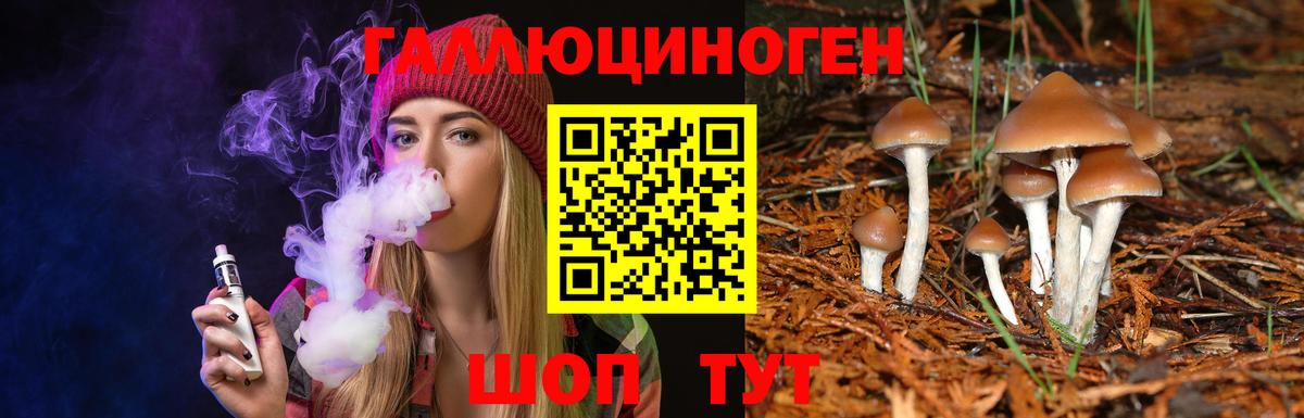 Псилоцибиновые грибы Psilocybe Мурманск